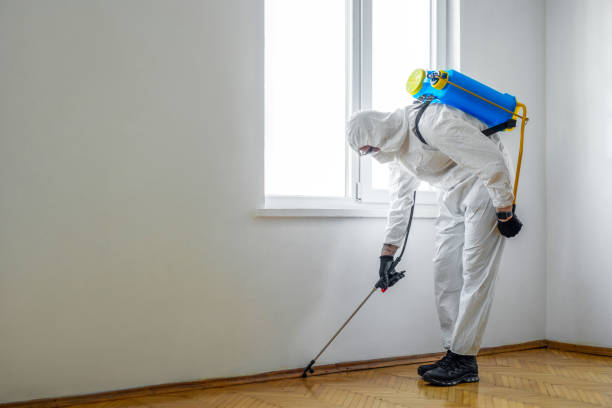 Best Pest Prevention Services  in Jacksboro, TN